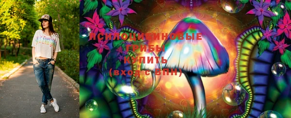 твердый Кинешма